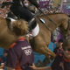 Illustration for article titled This Horse Was Ready For The Olympics To Be Over